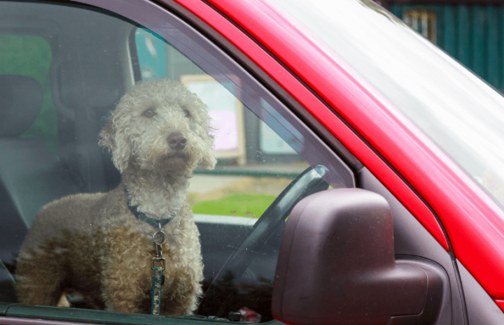 Toyota’s Innovative Sensors Can Detect Children Forgotten In Hot Cars