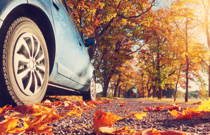 10 Fun Things to Do in Your Car This Fall